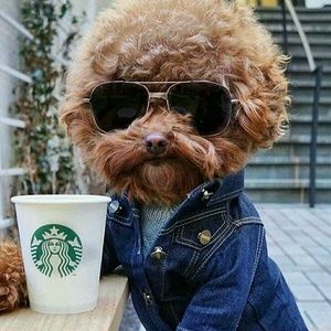 Meet your Posher, Jah-el