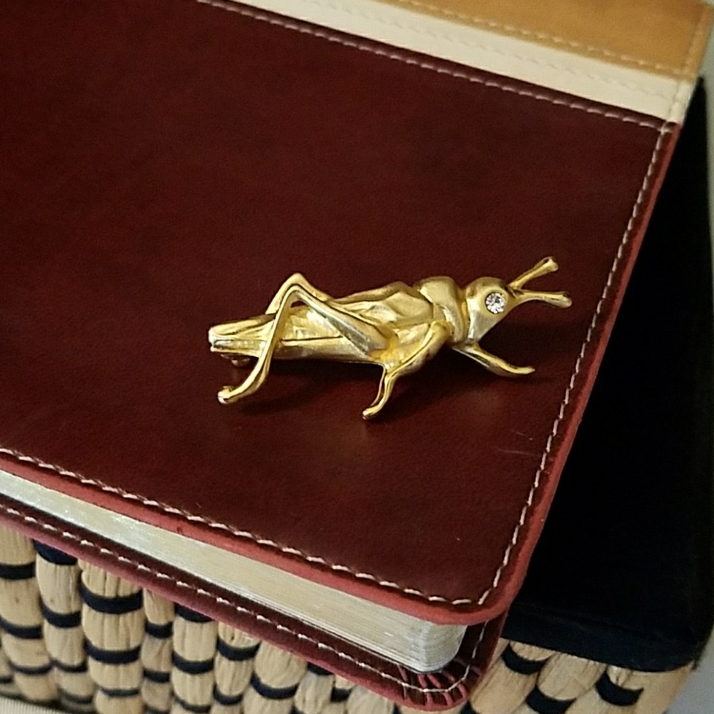 🌅Givenchy Signed Rare Grasshopper Brooch