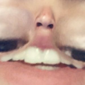 Meet your Posher, Dylan