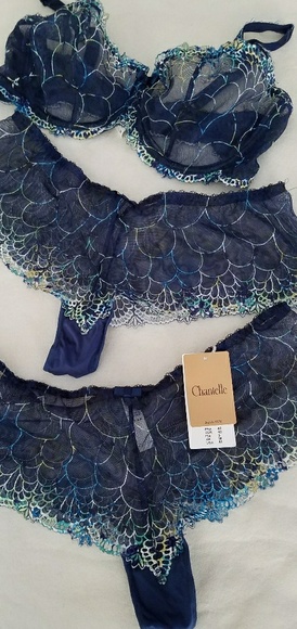 MARK DOWN! CHANTELLE BRA AND PANTIES - Picture 1 of 1