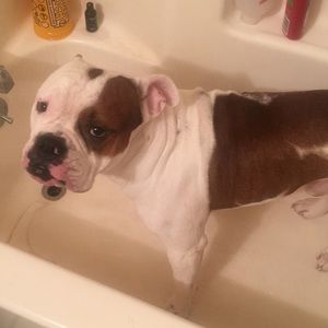 Meet your Posher, Warren