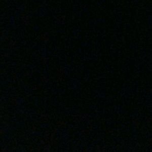 Meet your Posher, Randy