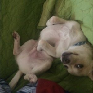 Meet your Posher, Micah