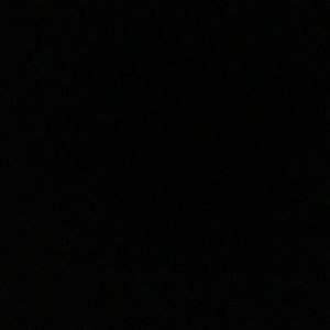 Meet your Posher, Daisey