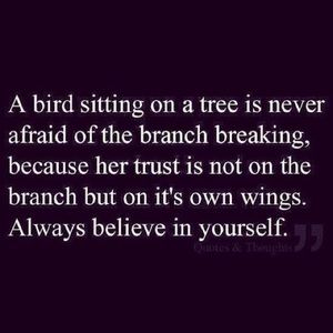 Meet your Posher, Morgan