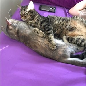 Meet your Posher, Christy