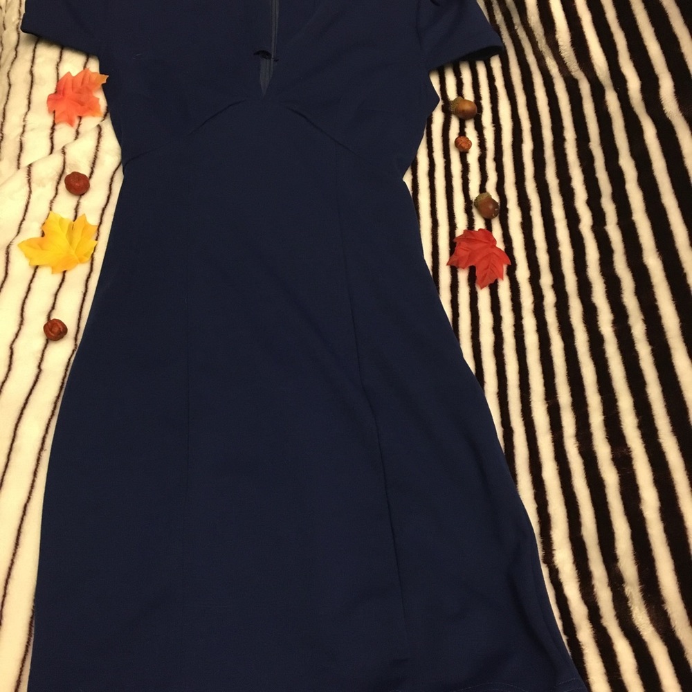 Dresses - Picture 8 of 8