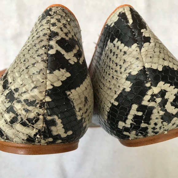 🆕 Zara Snakeskin Flats with Tan/Orange Trim - Picture 4 of 7