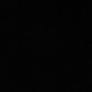 Meet your Posher, Priscilla