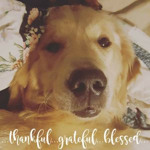 Meet your Posher, Wendy