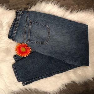 Venezia  size 16 jeans by Lane Bryant