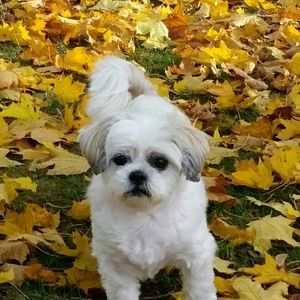 Meet your Posher, Fran