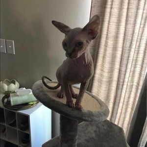 Meet your Posher, Jessica