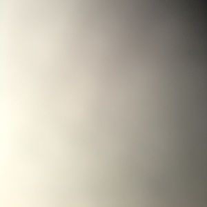 Meet your Posher, Brie