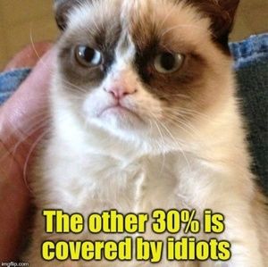 Meet your Posher, Dori