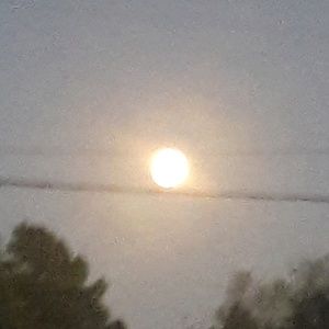 Meet your Posher, Melody