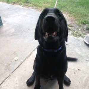 Meet your Posher, Lori