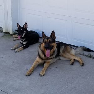 Meet your Posher, Sue