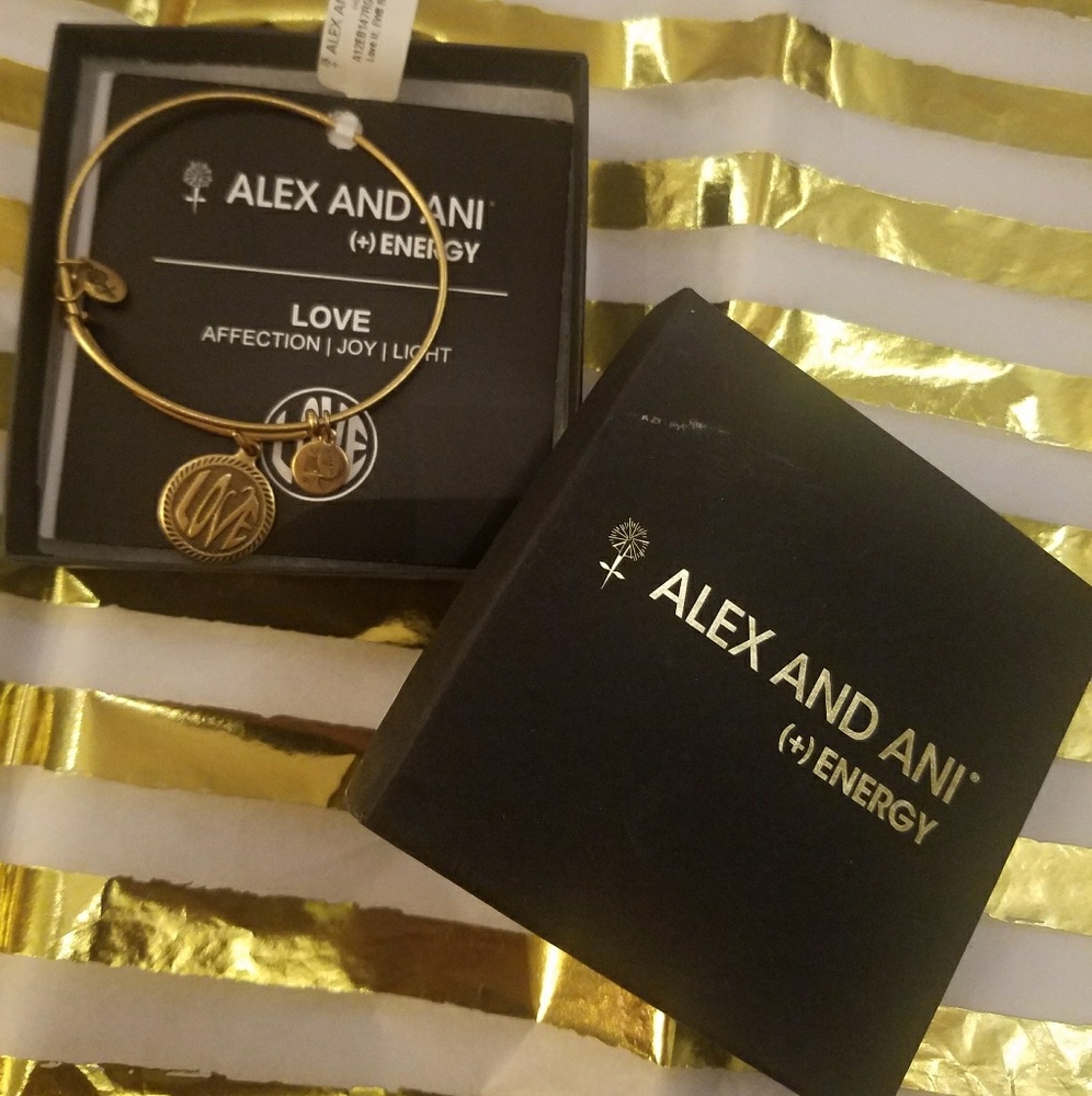 Alex and Ani charm bracelet