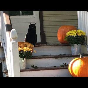 Meet your Posher, Roma