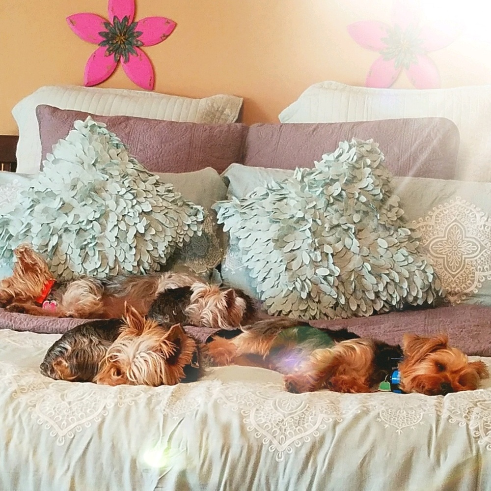 Meet your Posher, Robin