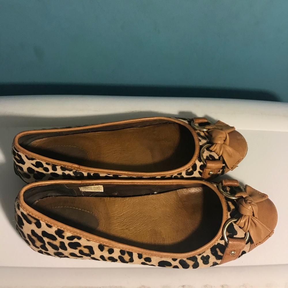 Sperry Flats - Picture 2 of 2