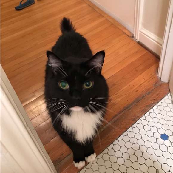 Meet your Posher, Dev - Picture 2 of 8