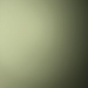 Meet your Posher, Reid