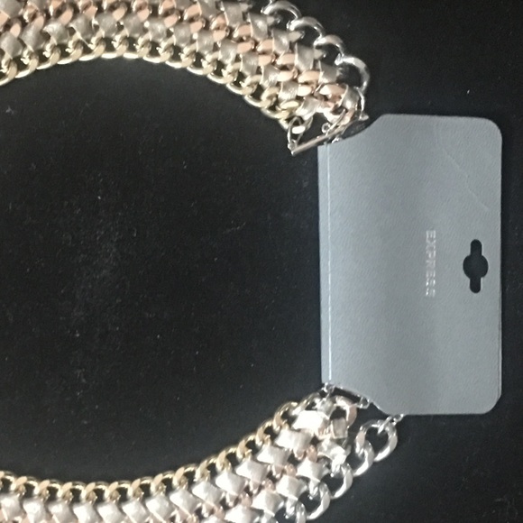 Express amazing tri-colored collar necklace NWT - Picture 5 of 7