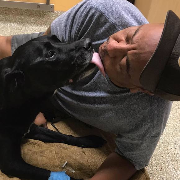 Meet your Posher, Dave - Picture 1 of 1