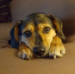 Meet your Posher, Nora