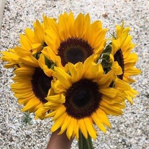 Meet your Posher, Madison