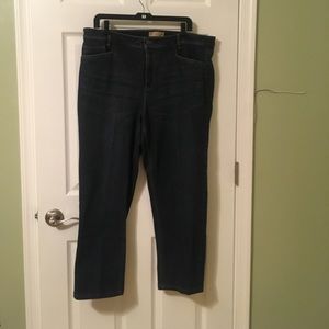 J.Jill women’s Jeans size 18