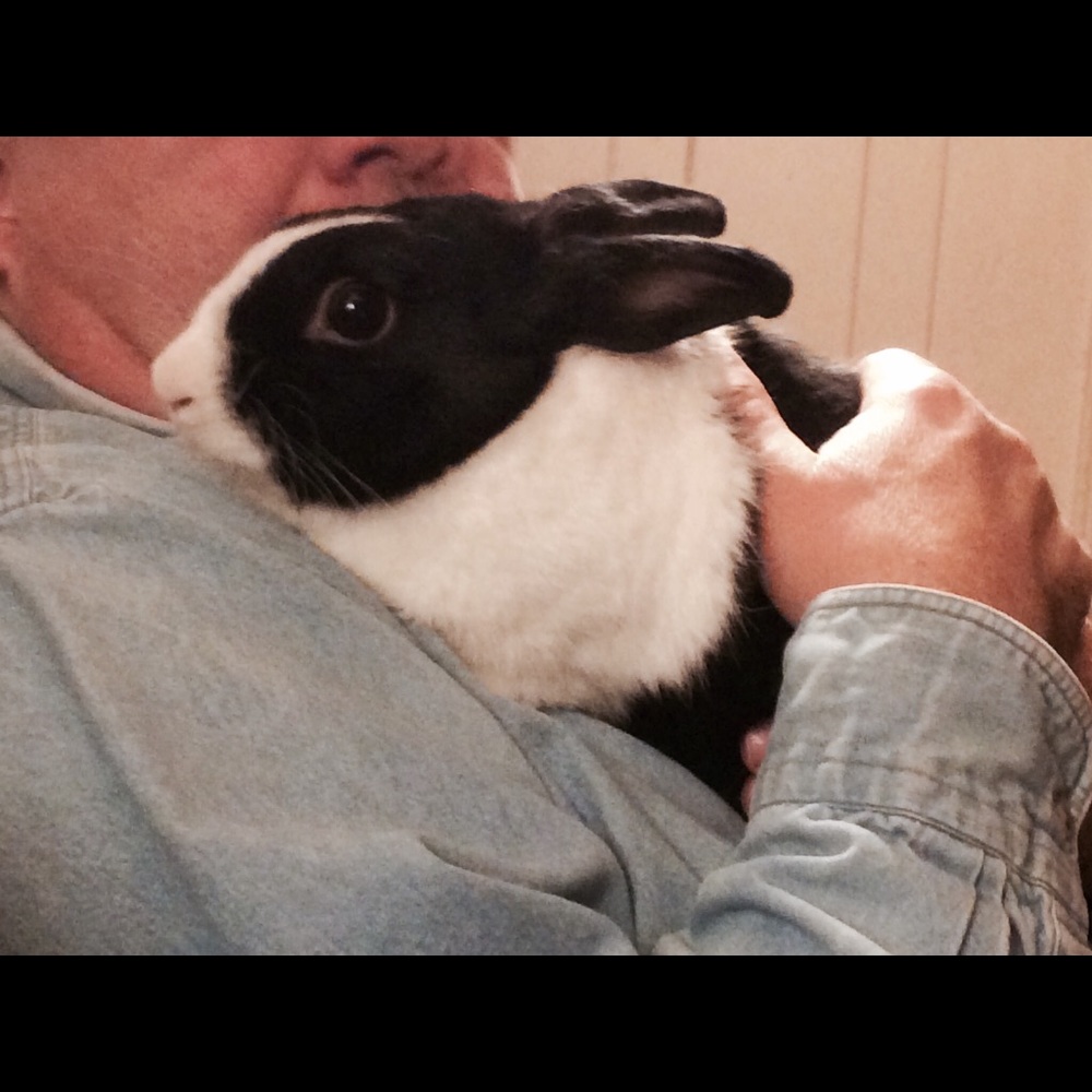 Meet your Posher, Gail