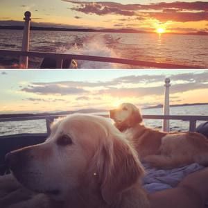 Meet your Posher, Lindsay