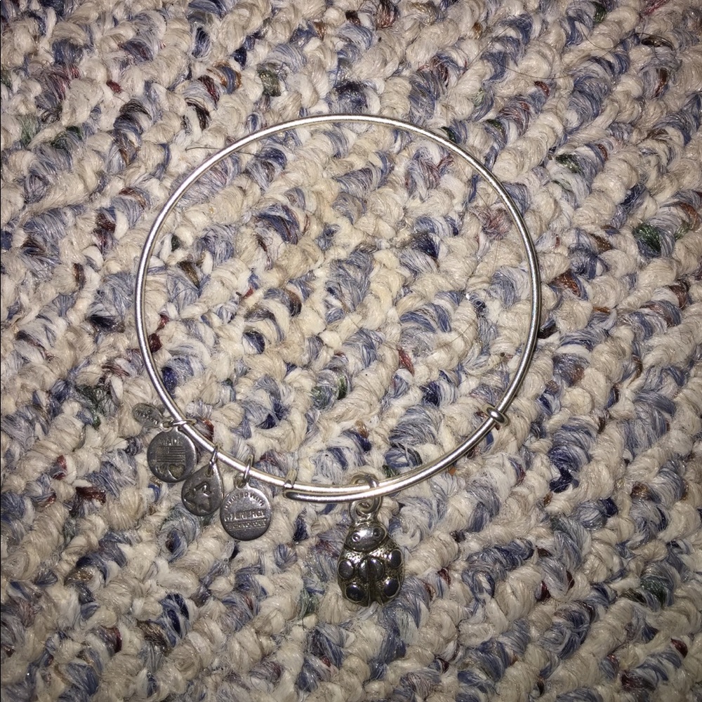 Alex and Ani bangle