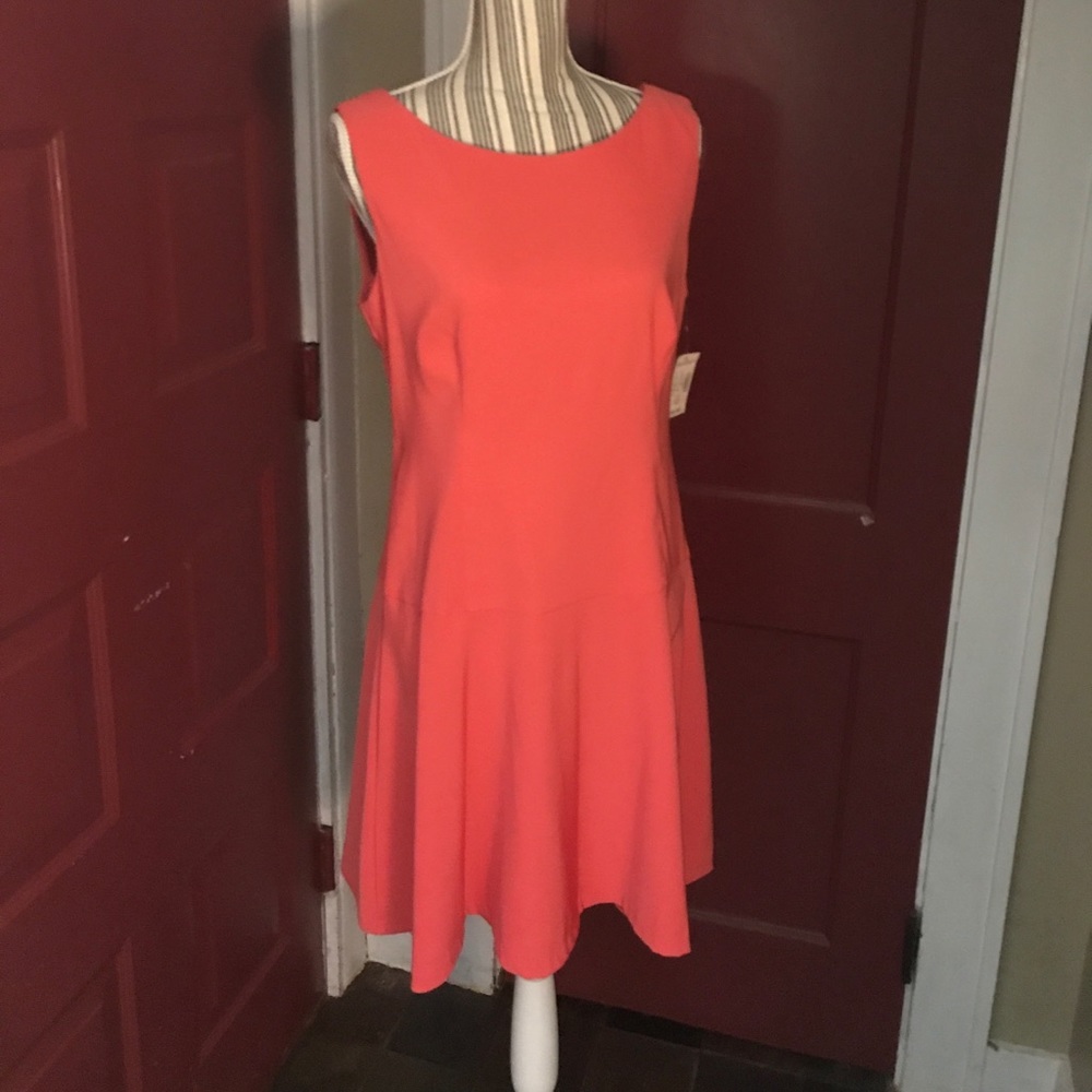 Dress Barn Dress