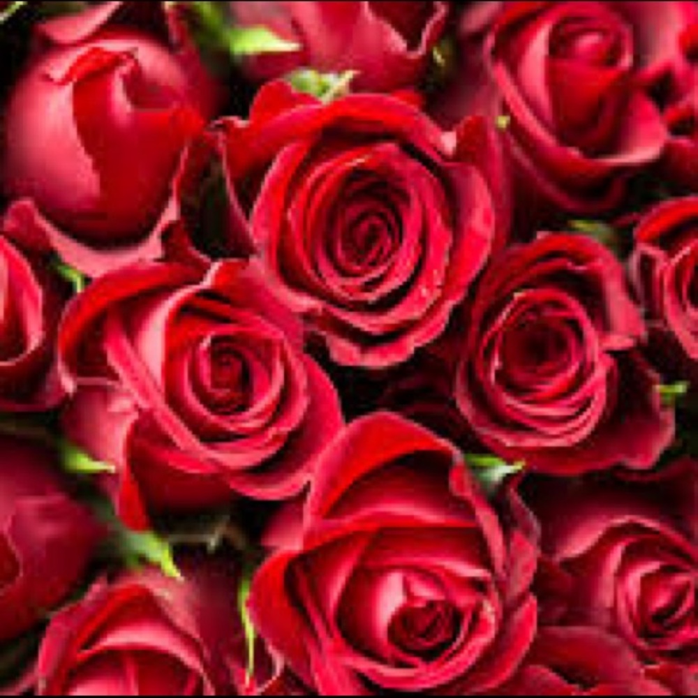 Meet your Posher, Camy