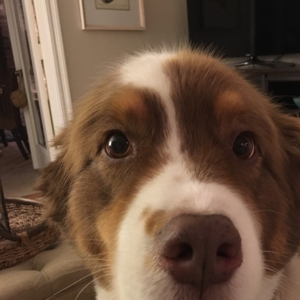 Meet your Posher, Brooke