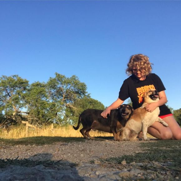 Meet your Posher, Kirby - Picture 1 of 1