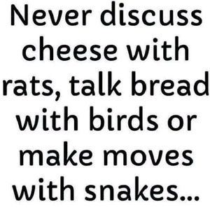 Meet your Posher, Detra