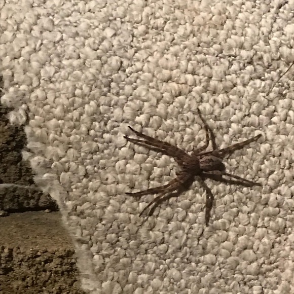 Meet your Posher, Shawn - Picture 1 of 1