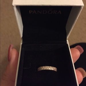24 hour sale price!Pandora Rose Inspiration Within