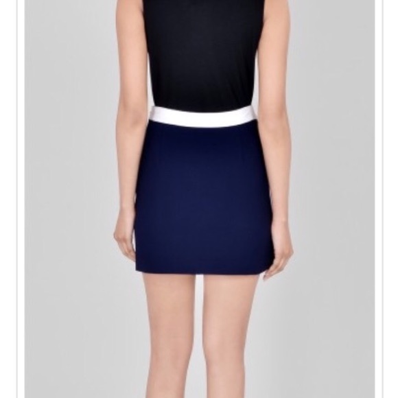 Diane von Furstenberg color block Sloane skirt. - Picture 2 of 7