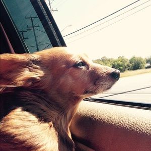 Meet your Posher, Beth