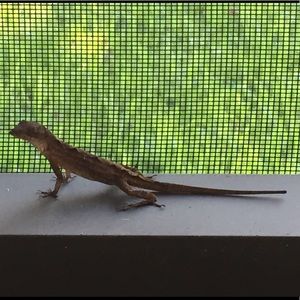 Meet your Posher, William