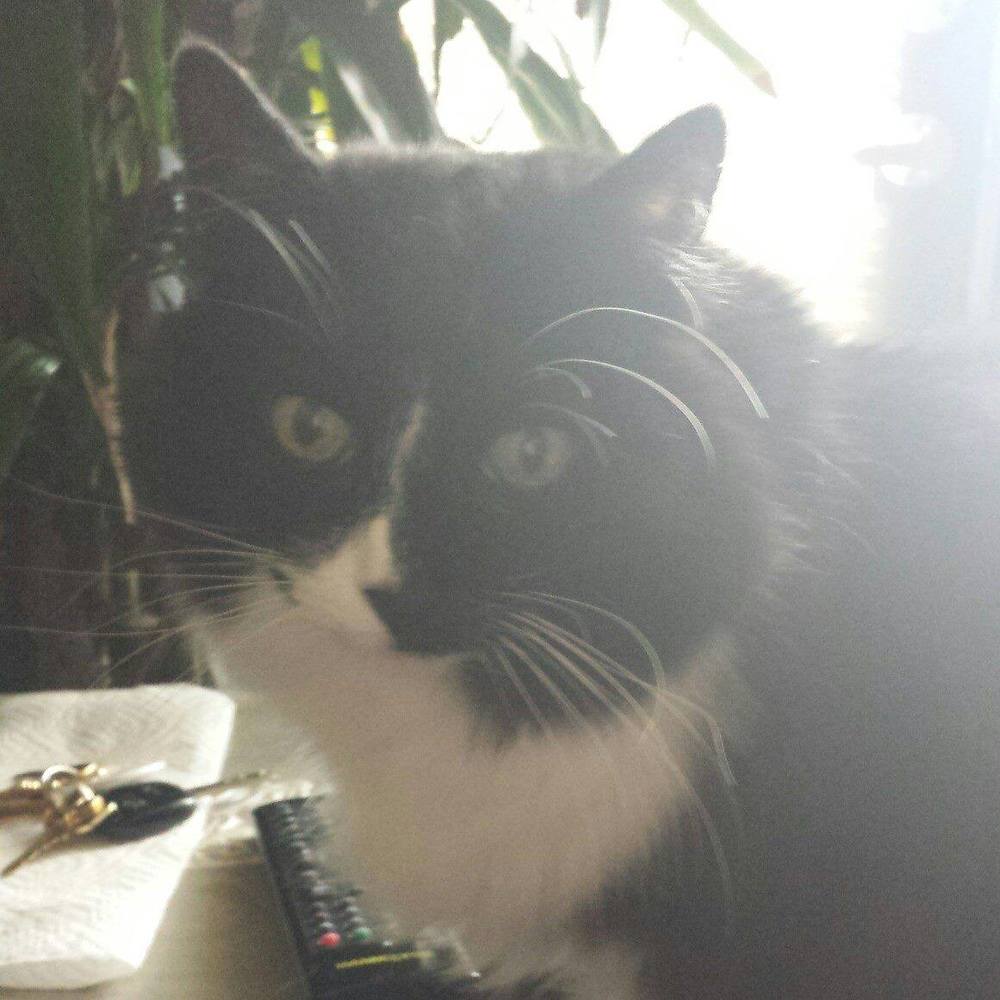 Meet your Posher, Kathy