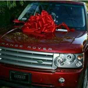 Meet your Posher, Antonette