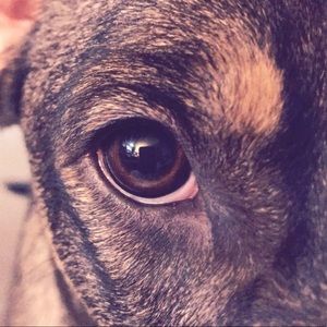 Meet your Posher, Lindsey