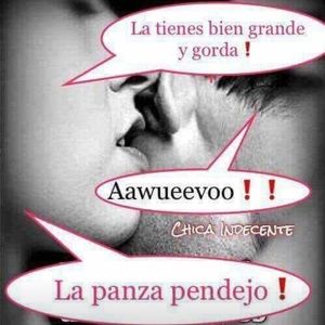 Meet your Posher, Hector